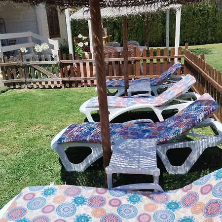 Blanca Roche Jorge *